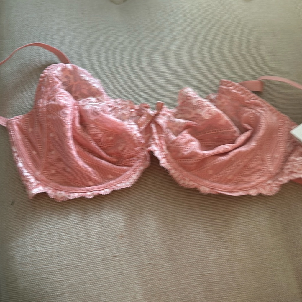 Nwt: Pretty In Pink Natori Lace Bra